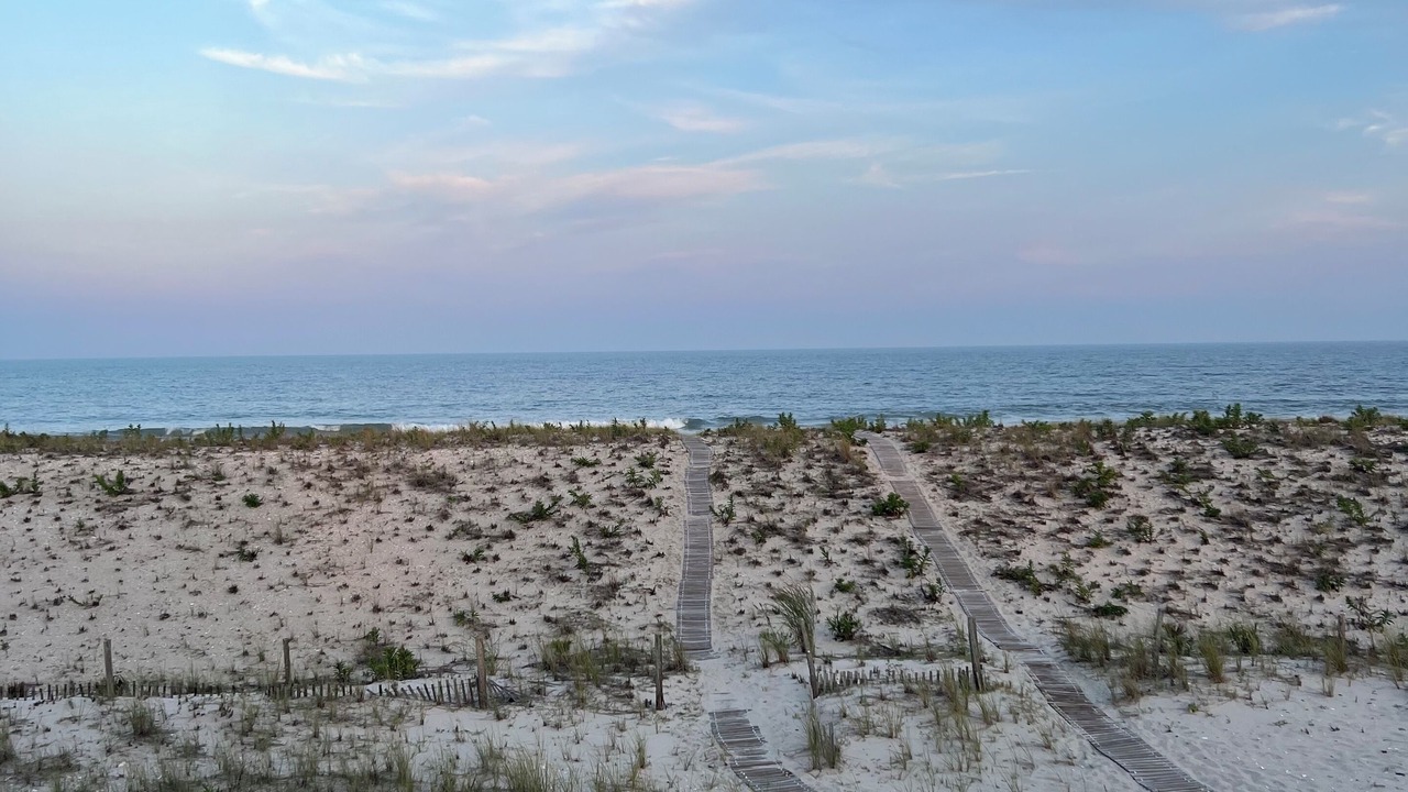 Photo of Others in South Beach Haven