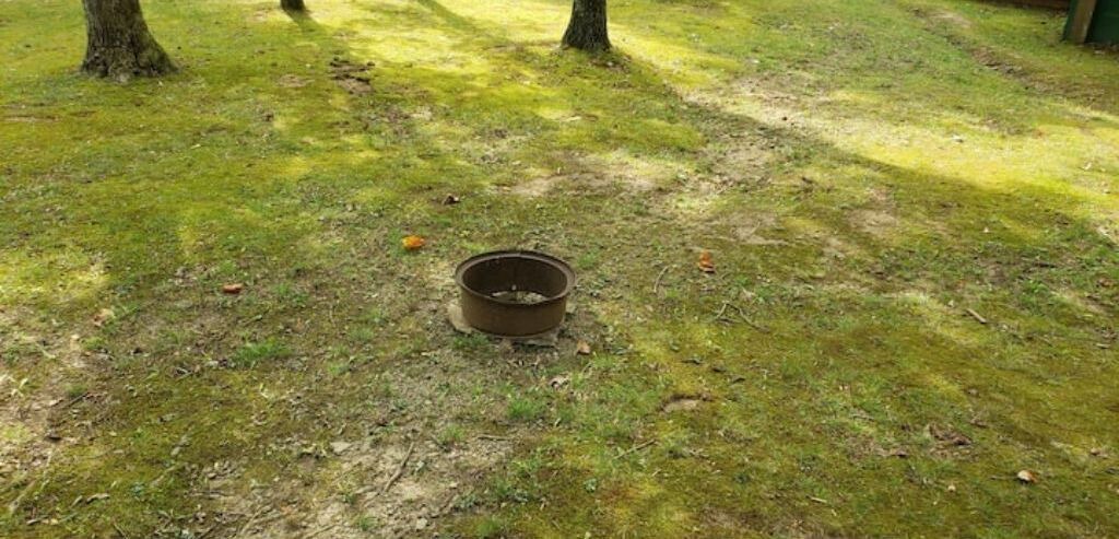 Photo of Outdoor in Jones Mills