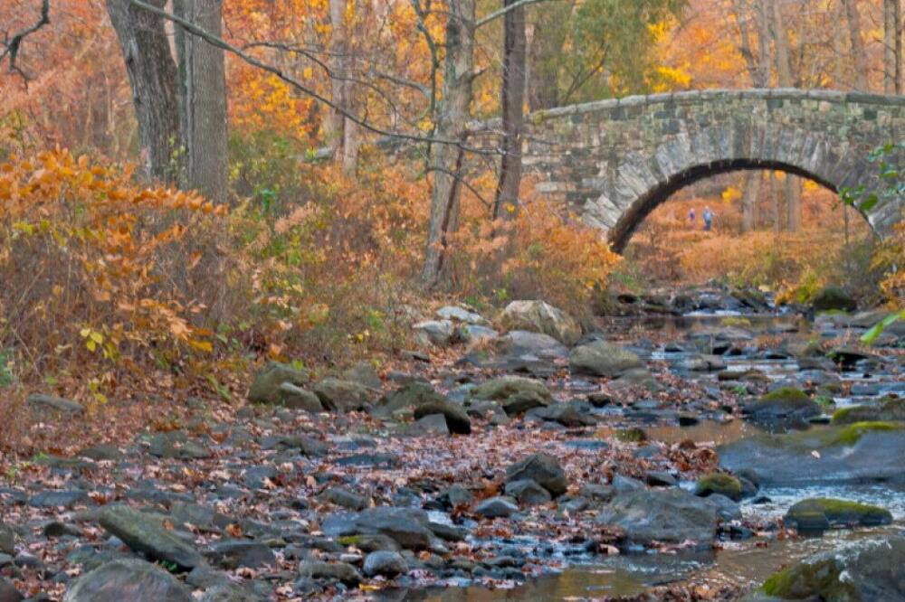 Photo of Others in Ossining