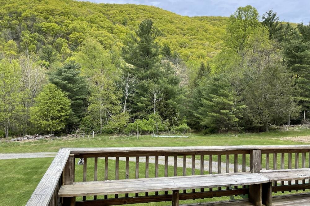 Photo of Outdoor in Nisbet