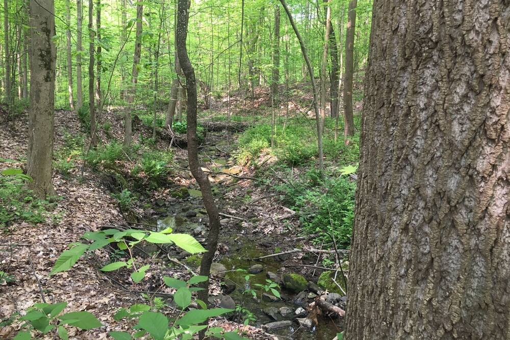 Photo of Outdoor in Westford