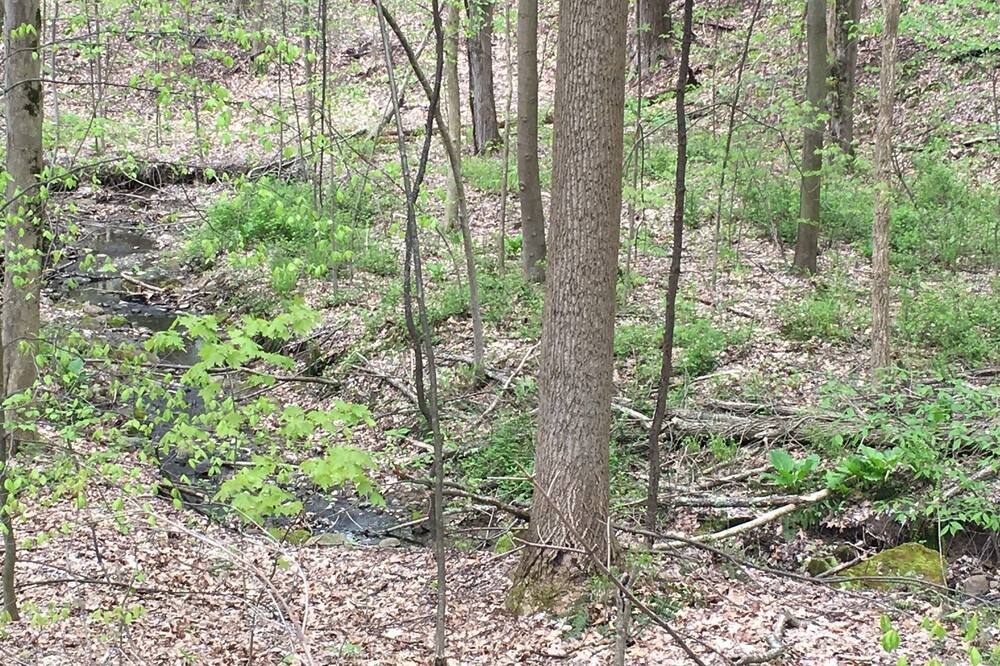 Photo of Outdoor in Westford