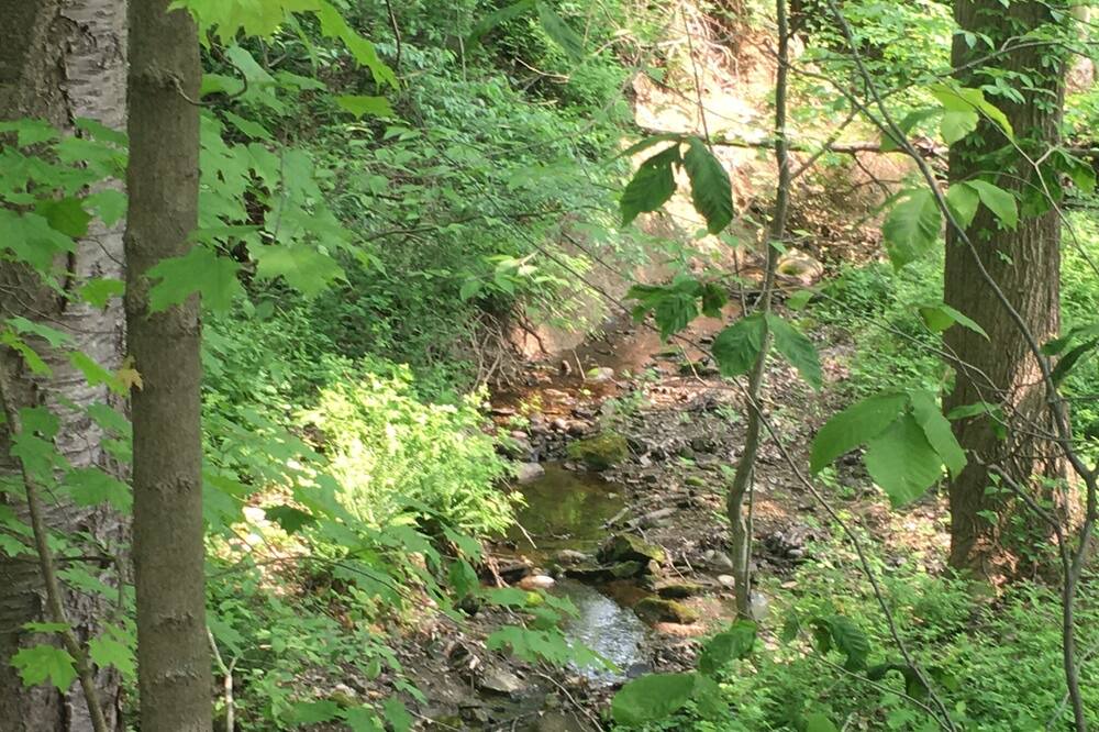 Photo of Outdoor in Westford