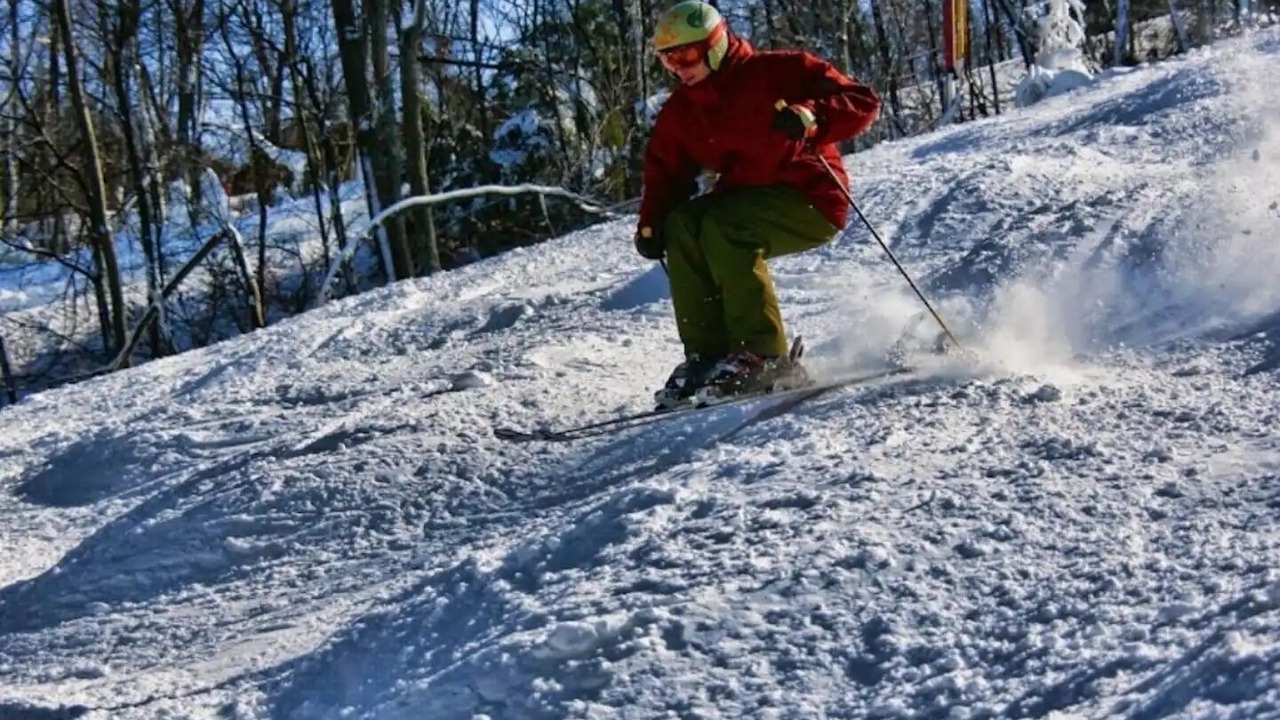 Photo of Others in Saylorsburg