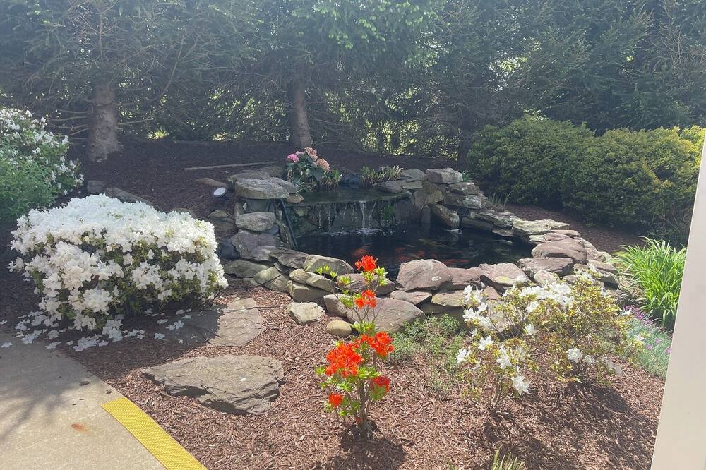 Photo of Outdoor in New Kensington