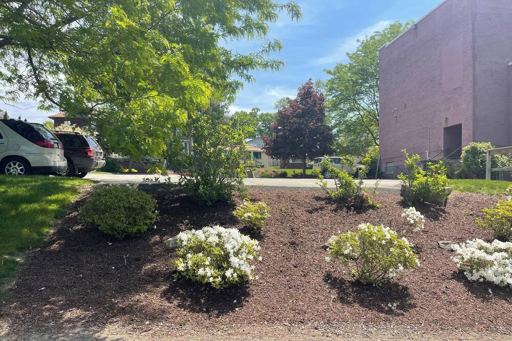 Photo of Outdoor in New Kensington