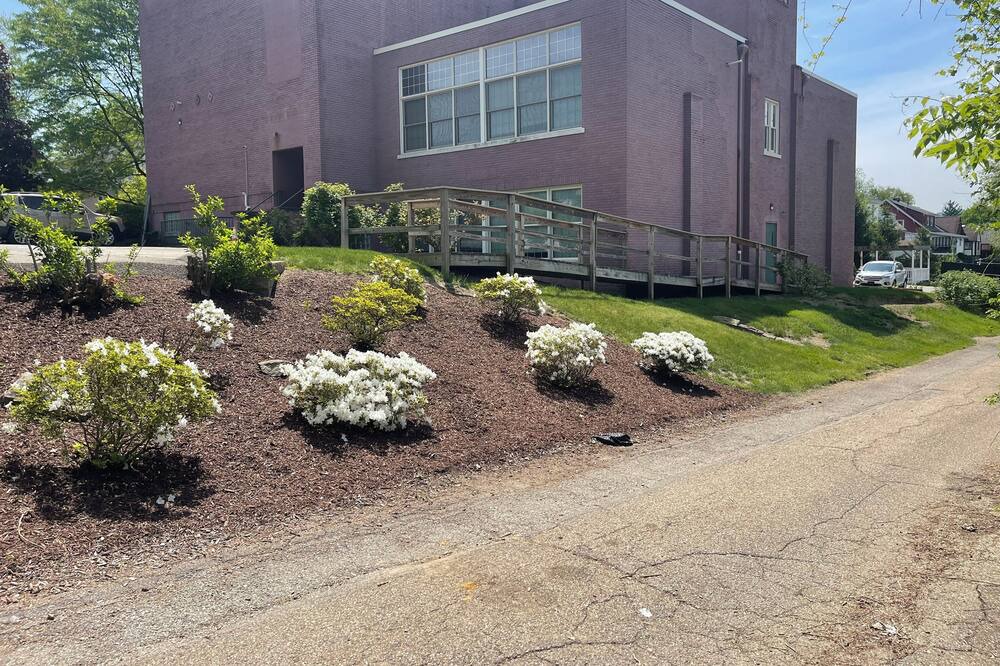 Photo of Outdoor in New Kensington