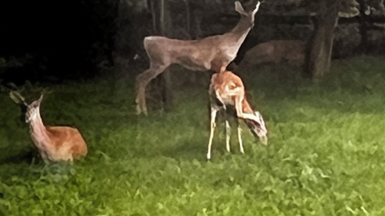 Photo of Outdoor in West Trenton