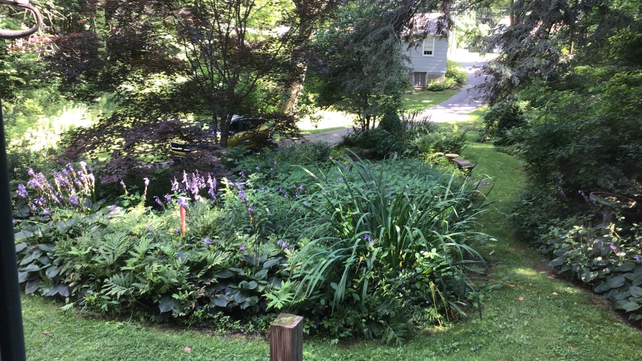 Photo of Outdoor in Fairview
