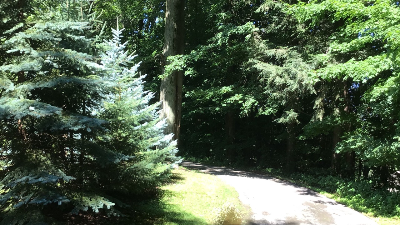 Photo of Outdoor in Fairview
