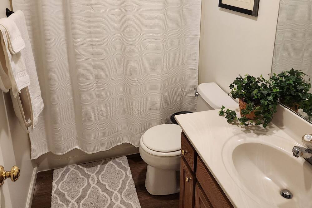 Photo of Bathroom in Greene County