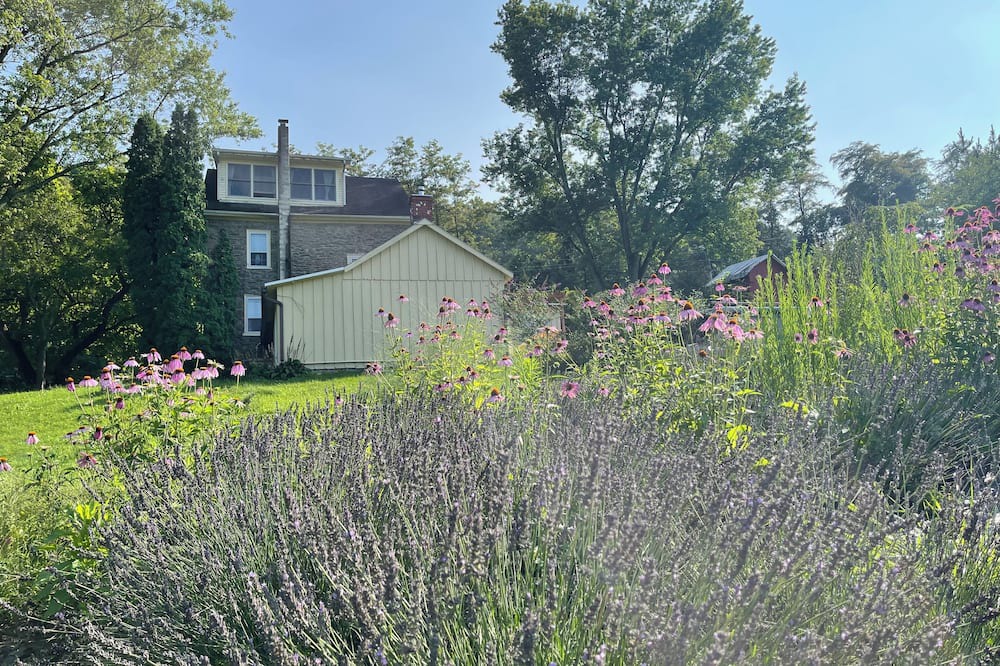 Photo of Outdoor in Lenhartsville