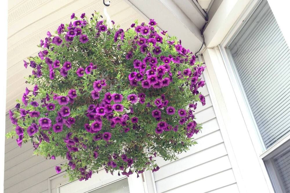 Photo of Outdoor in West Cape May