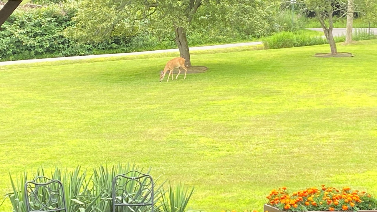 Photo of Outdoor in Cambra
