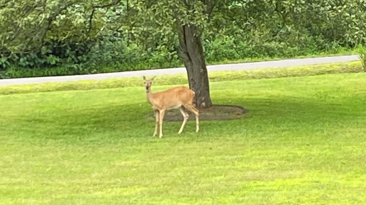 Photo of Outdoor in Cambra