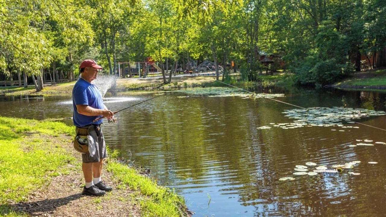 Photo of Others in Dennisville
