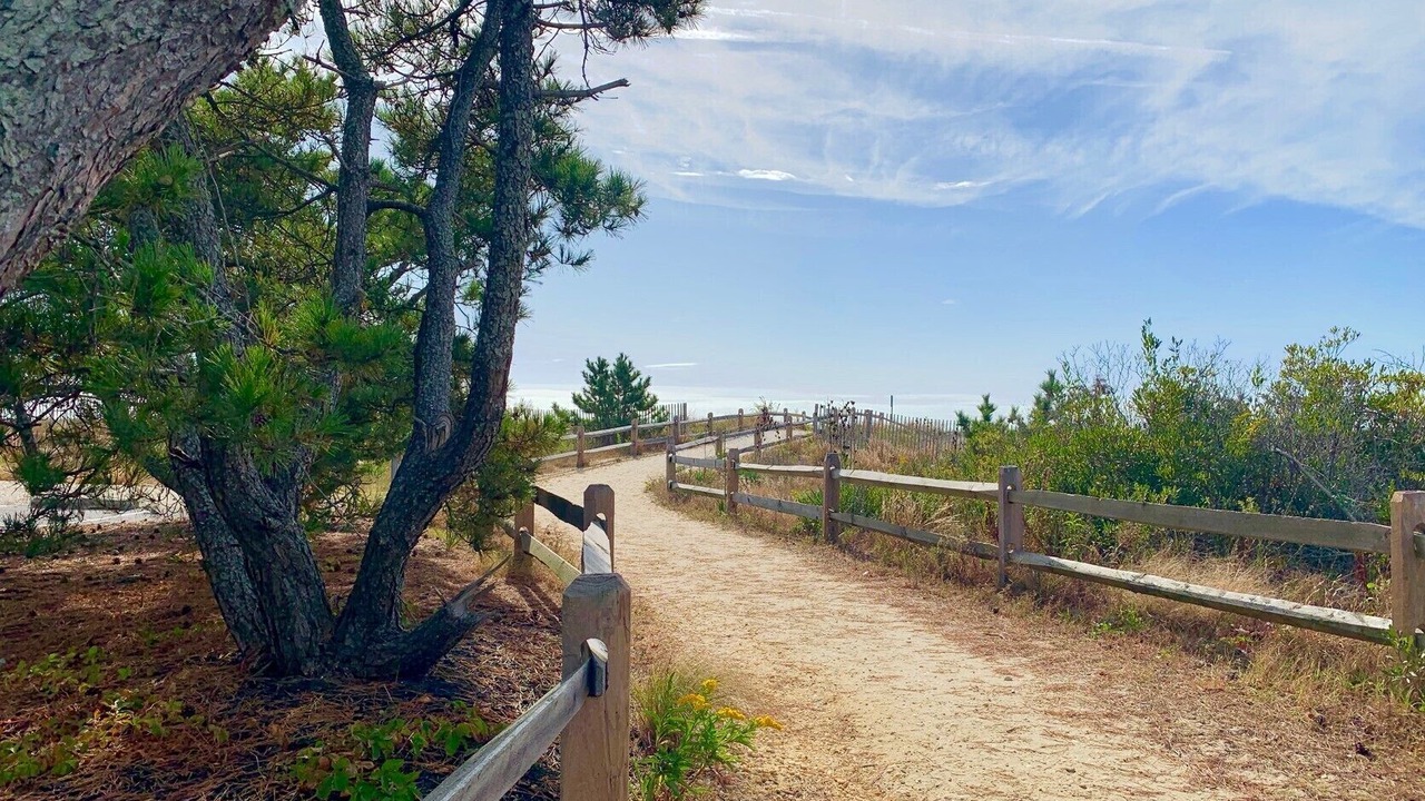 Photo of Outdoor in Townsend's Inlet