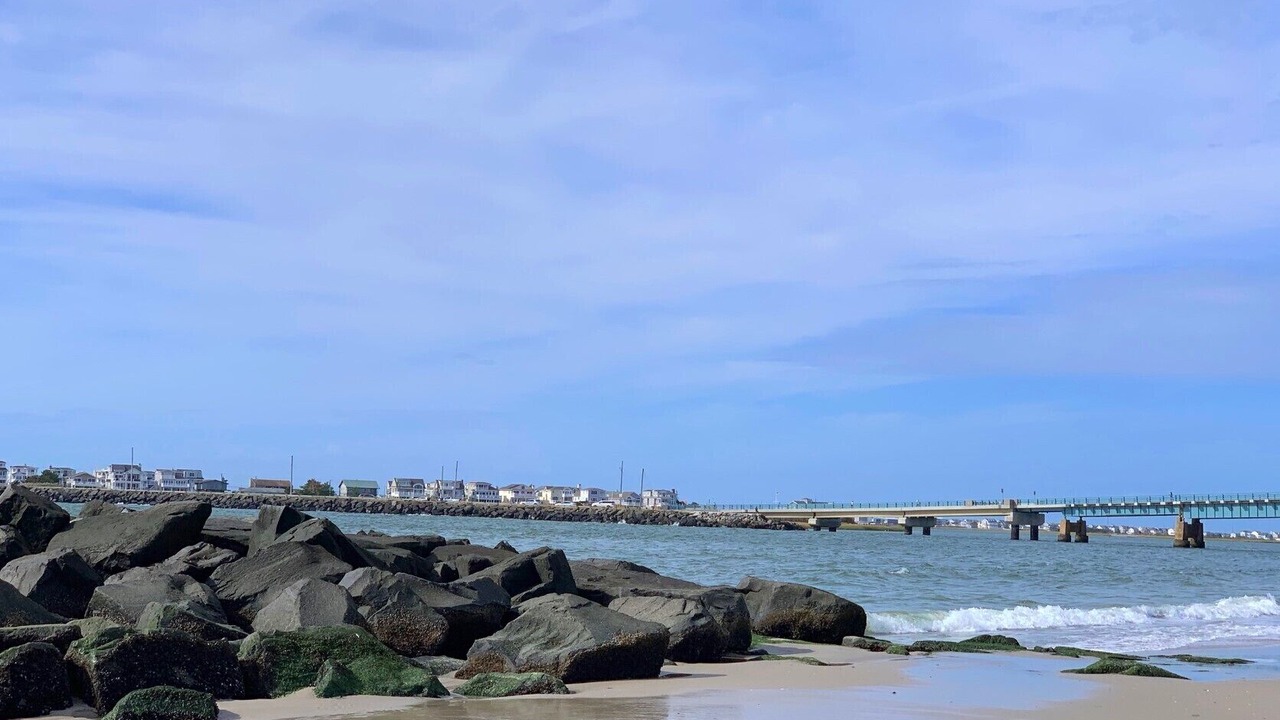 Photo of Others in Townsend's Inlet