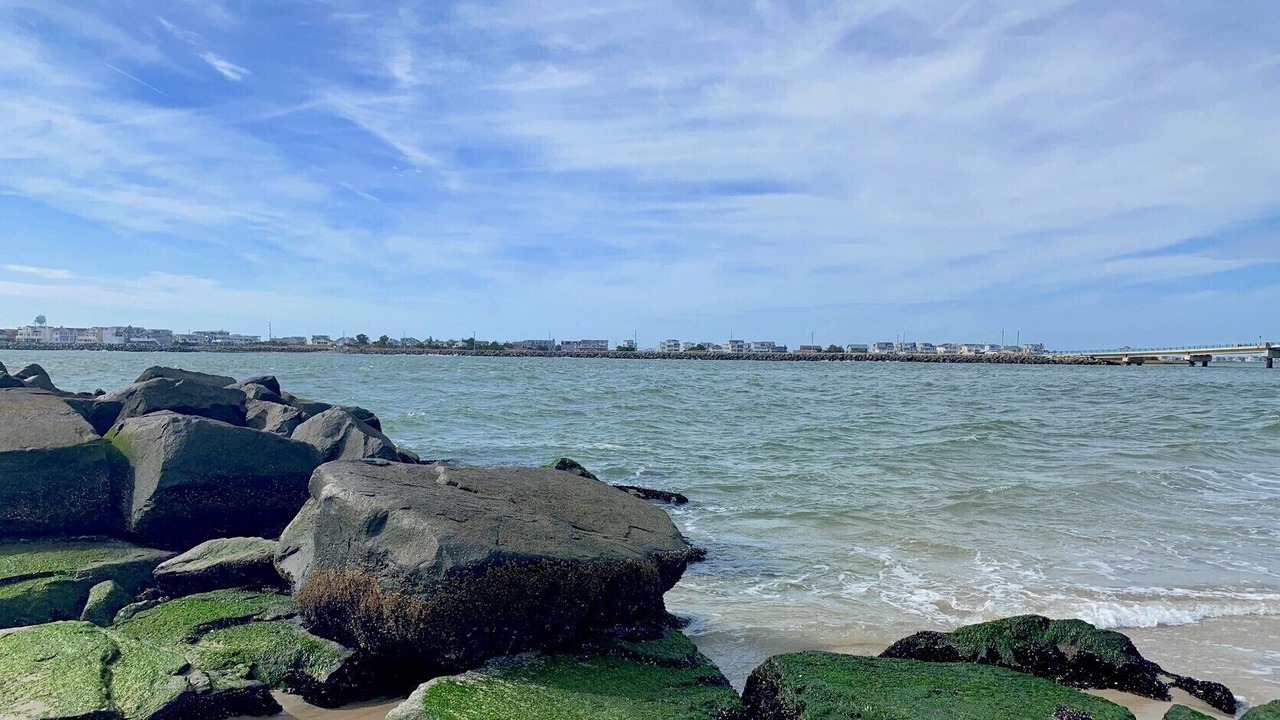 Photo of Others in Townsend's Inlet