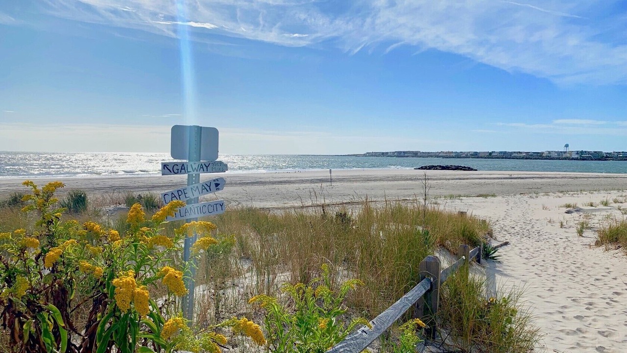Photo of Others in Townsend's Inlet