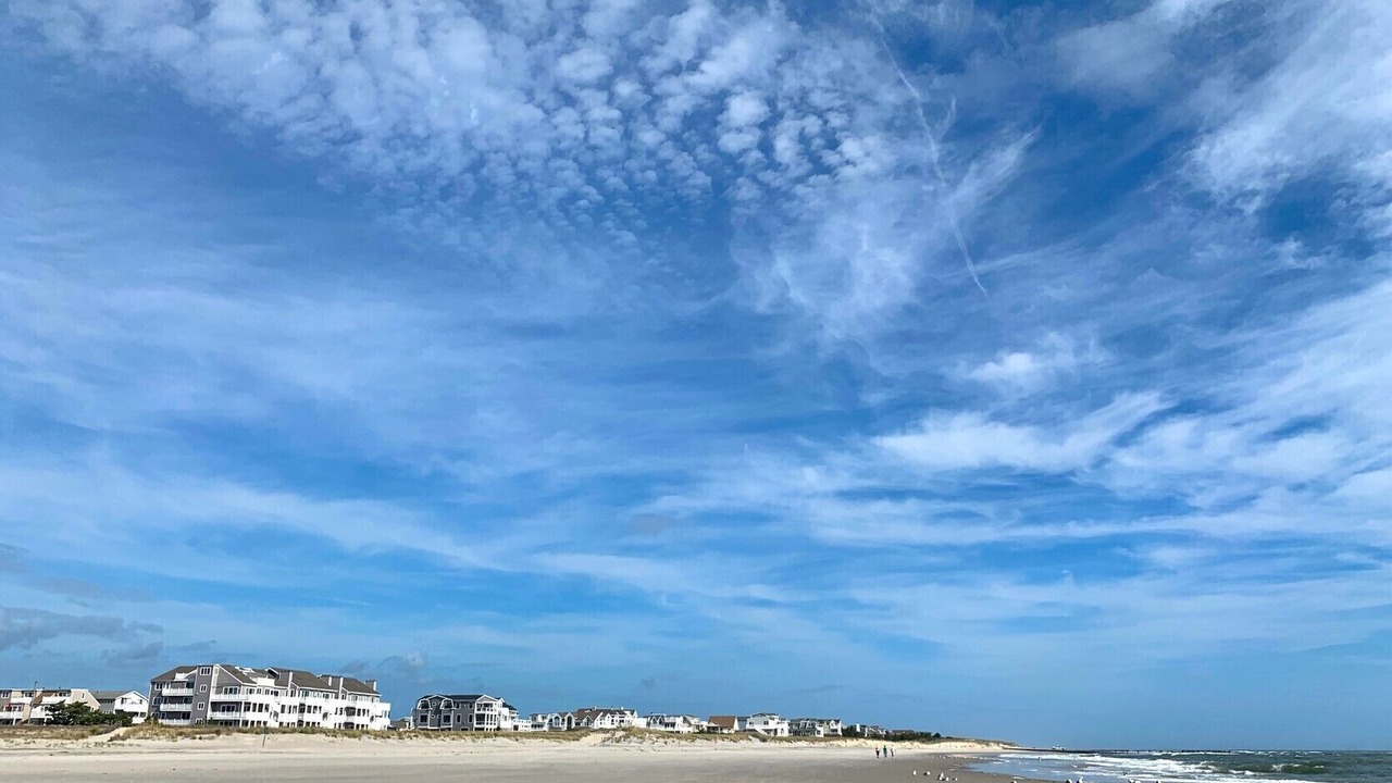 Photo of Others in Townsend's Inlet