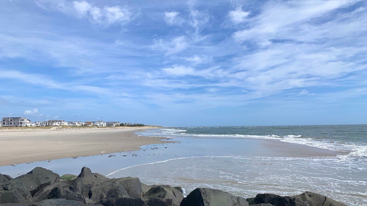 Photo of Others in Townsend's Inlet
