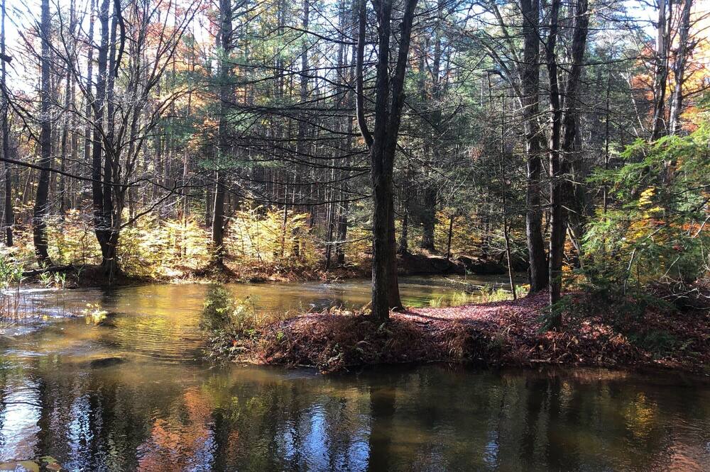 Photo of Outdoor in White Lake