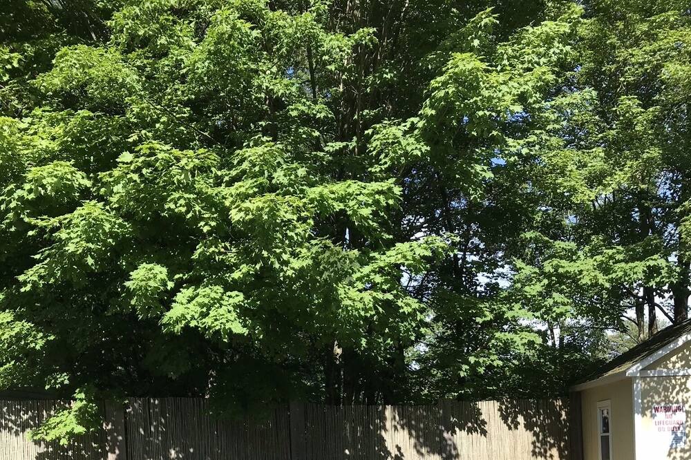 Photo of Outdoor in White Lake