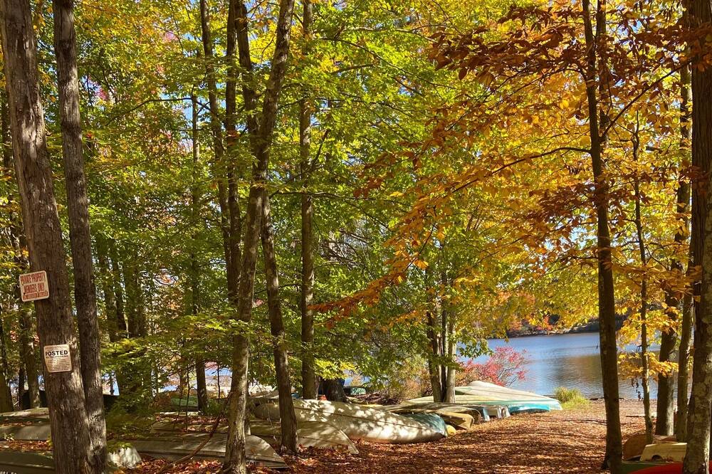 Photo of Outdoor in White Lake