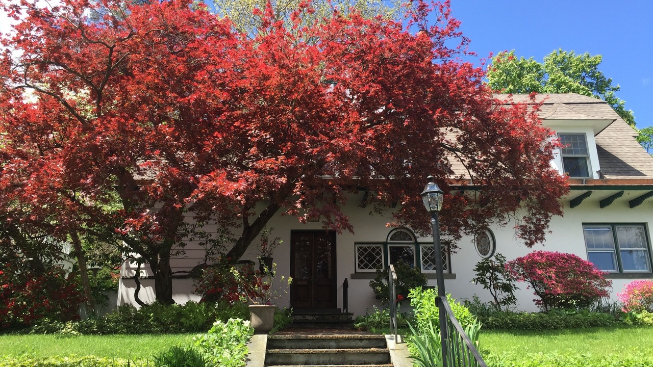Photo of Outdoor in Newburgh
