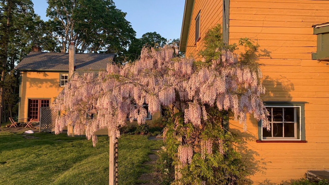 Photo of Outdoor in Honesdale
