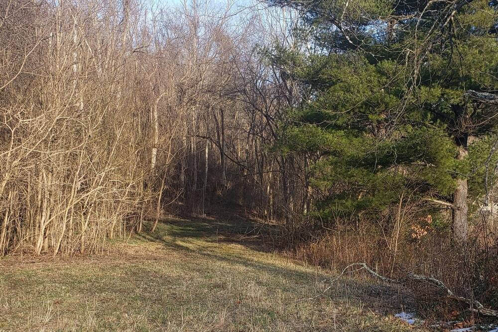Photo of Others in Blue Rock