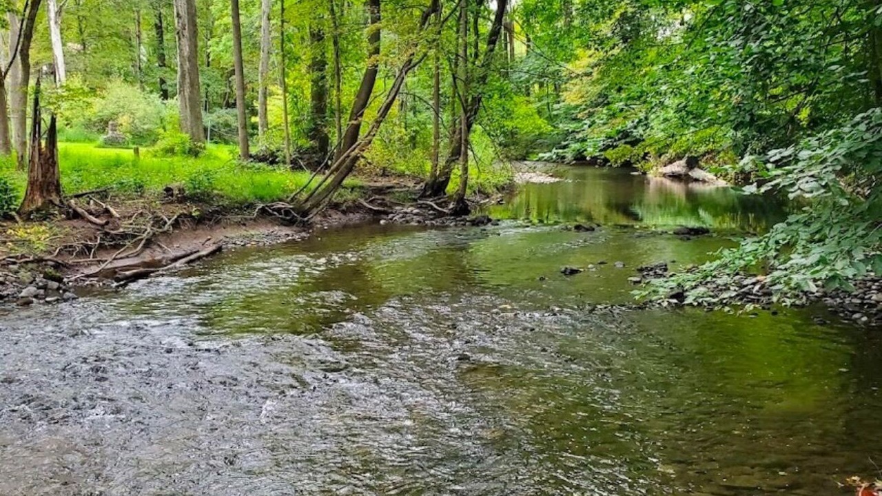 Photo of Outdoor in Delaware Water Gap