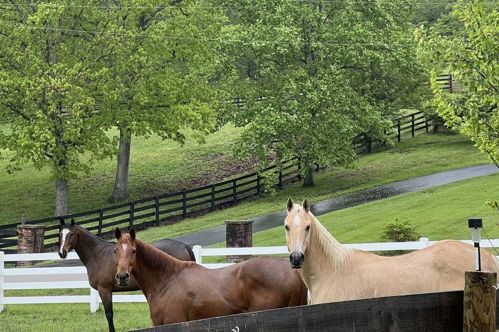 Photo of Others in Paint Lick