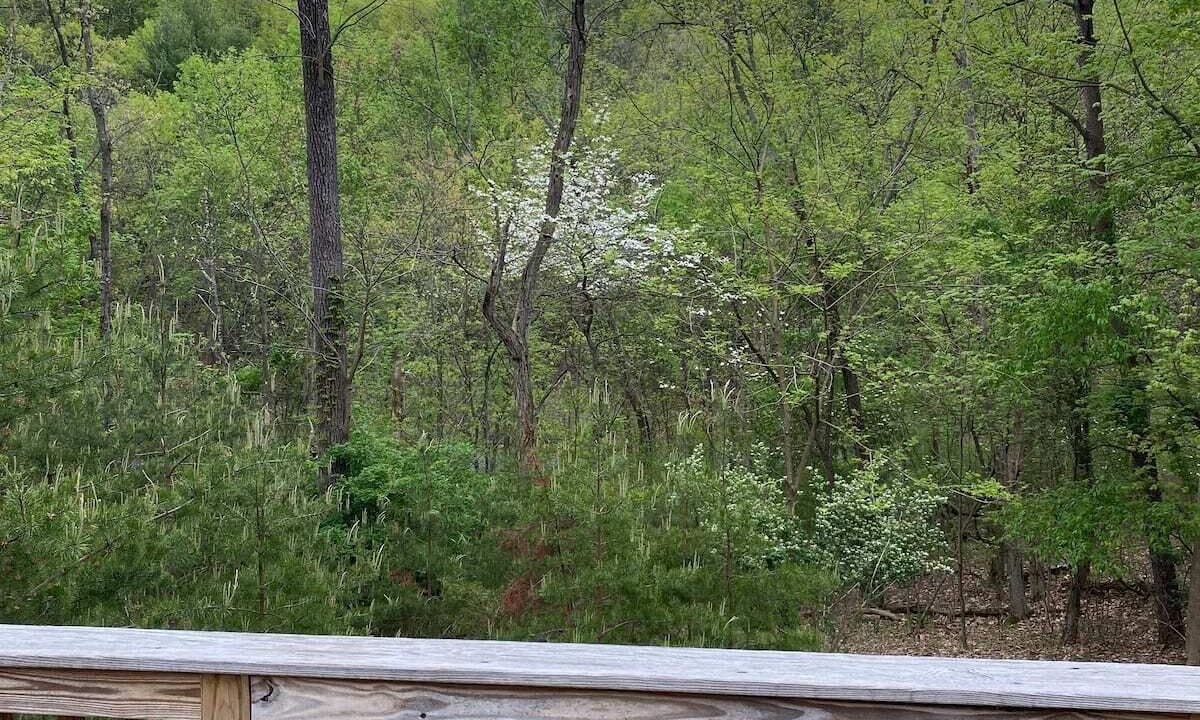 Photo of Outdoor in Elliottsburg