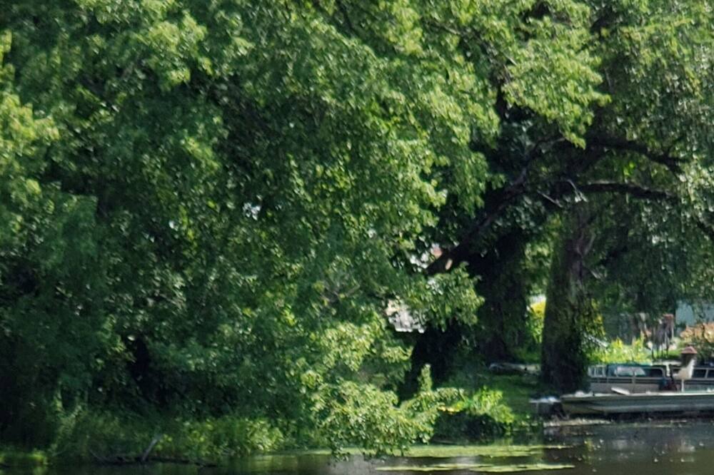 Photo of Outdoor in Tallman