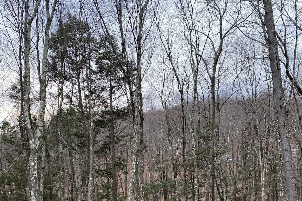 Photo of Outdoor in Bushkill