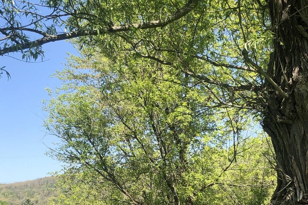 Photo of Outdoor in Warren
