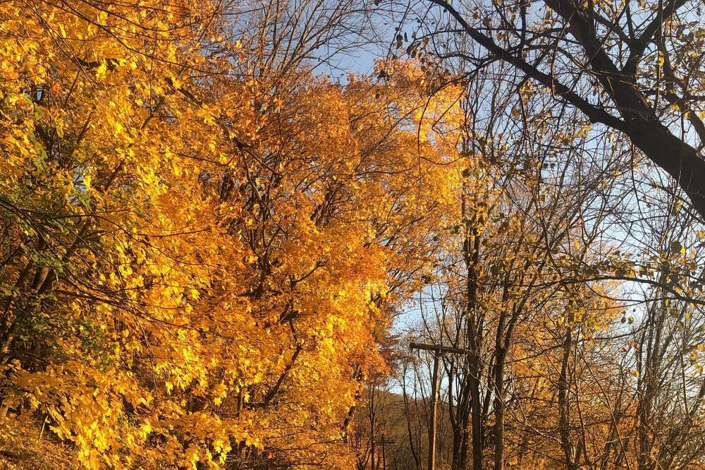 Photo of Others in Lambertville