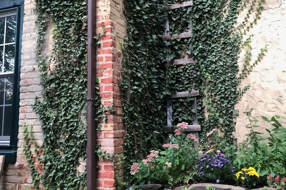 Photo of Others in Lambertville