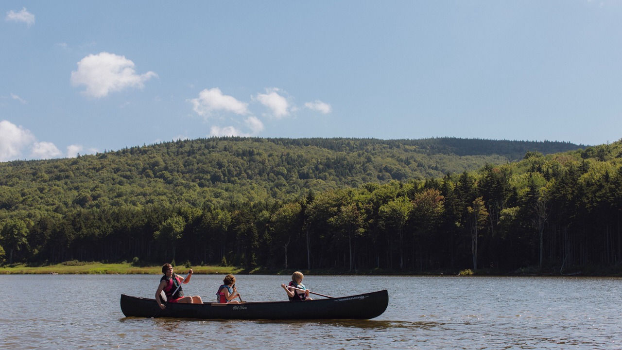 Photo of Others in Snowshoe