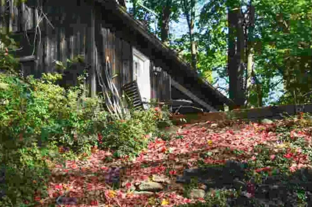 Photo of Outdoor in Stony Point