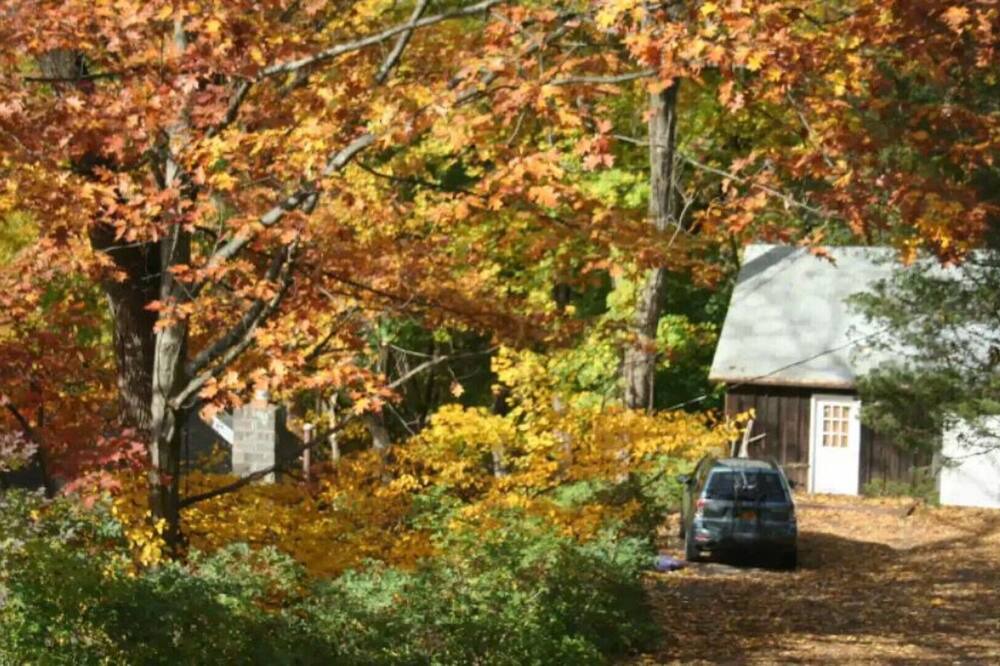 Photo of Outdoor in Stony Point