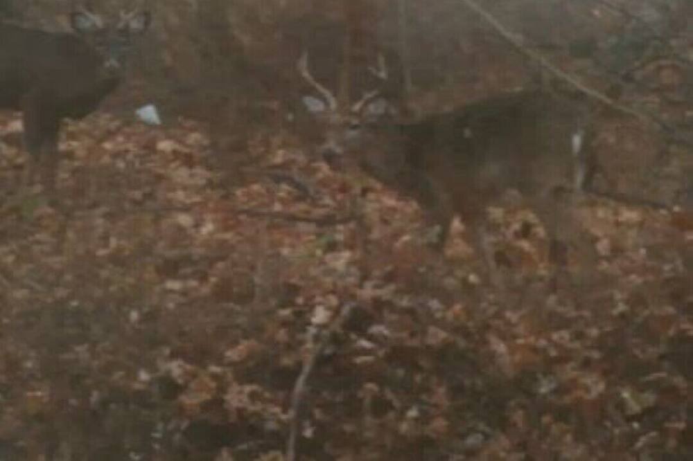 Photo of Others in Stony Point