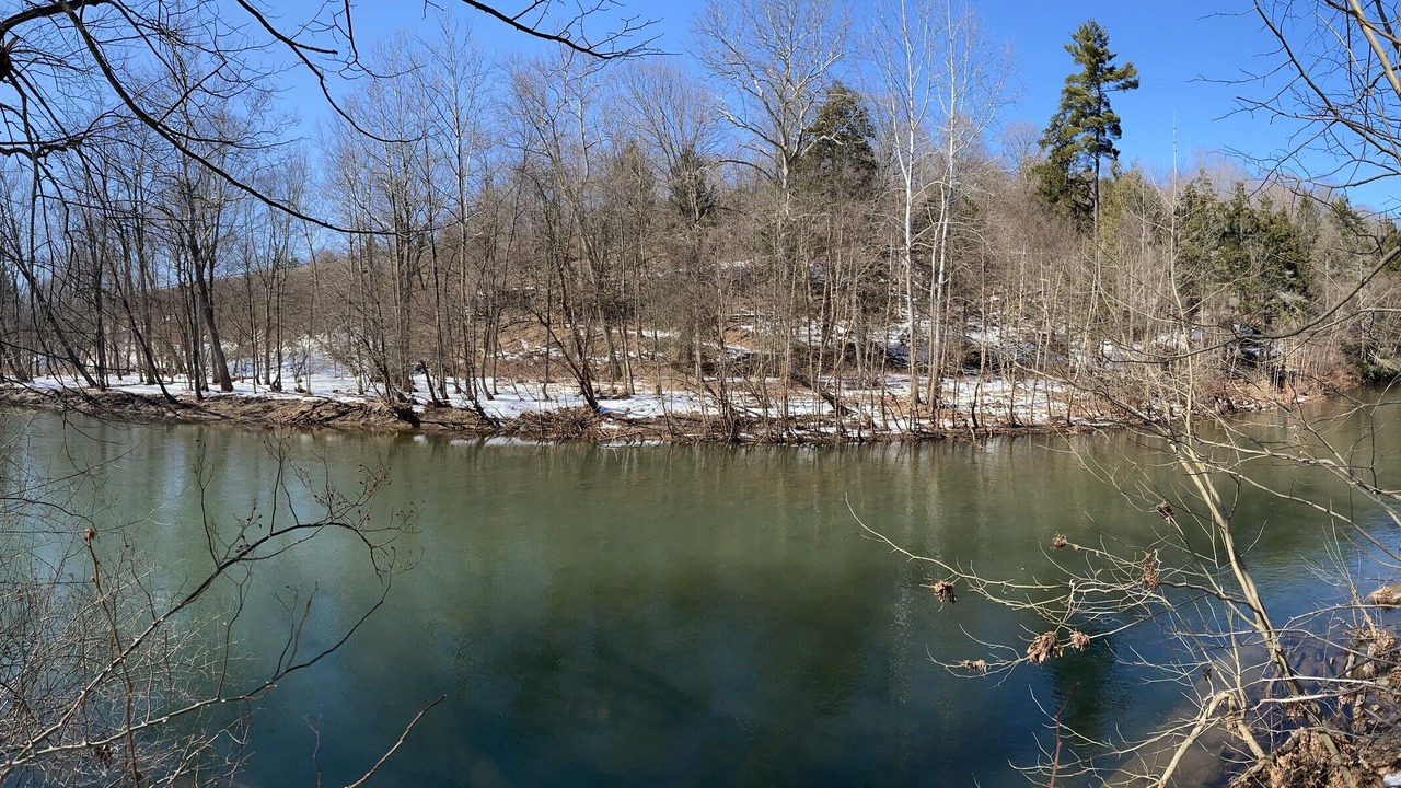 Photo of Outdoor in Nisbet
