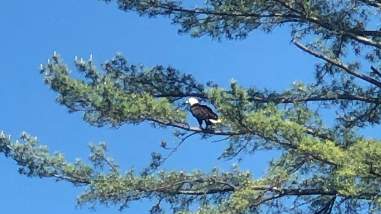 Photo of Outdoor in Town of Lumberland