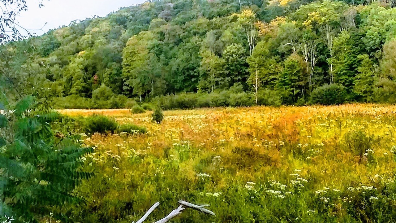 Photo of Outdoor in Conewango Valley