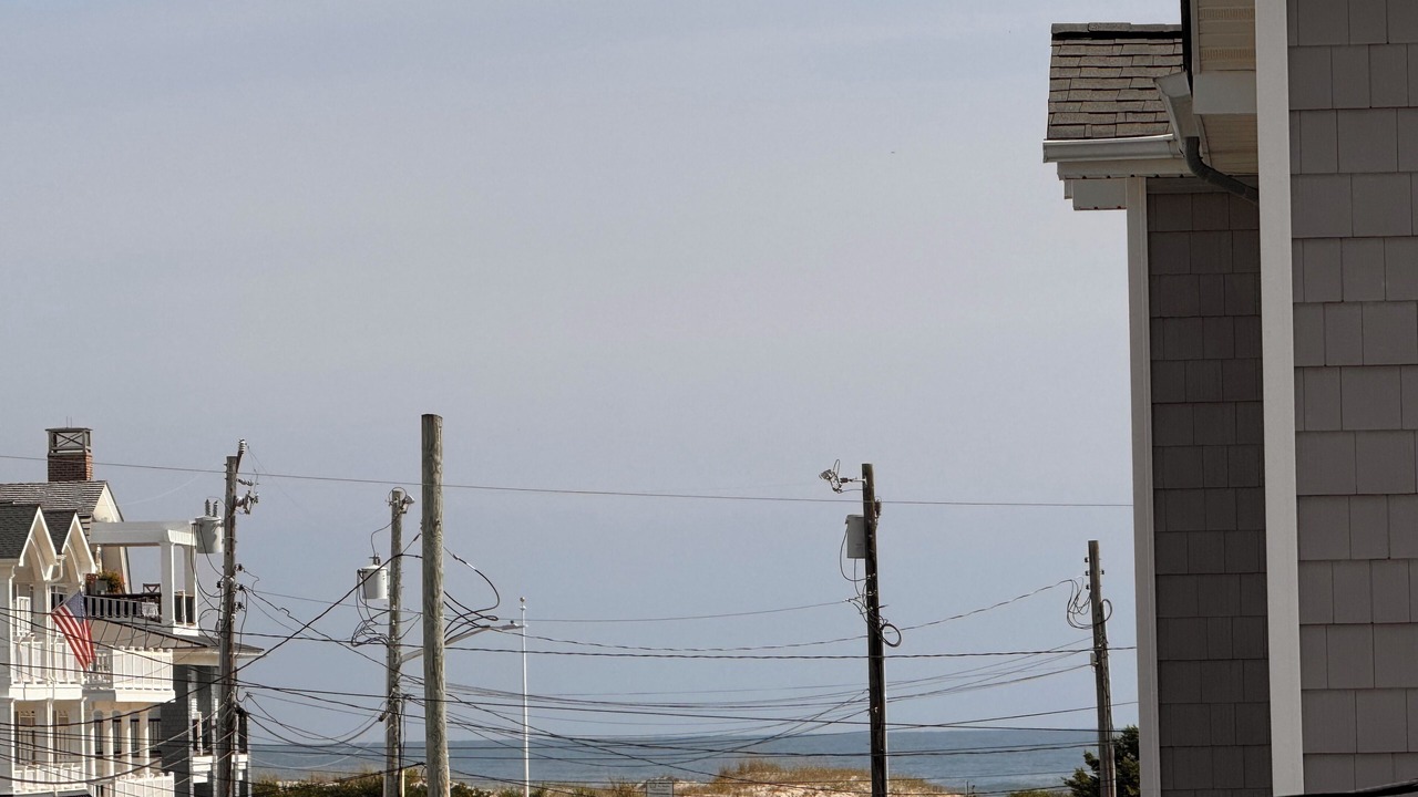 Photo of Others in Townsend's Inlet