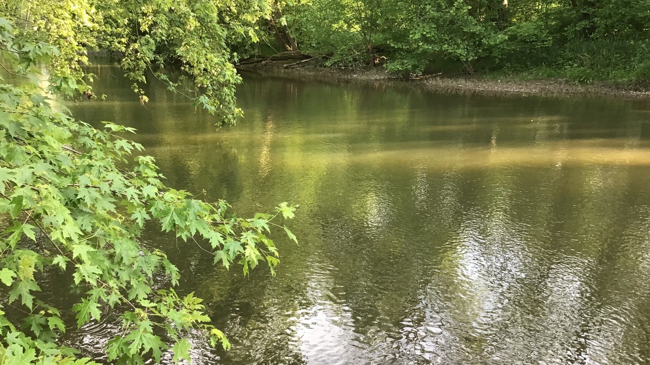 Photo of Outdoor in Bedford