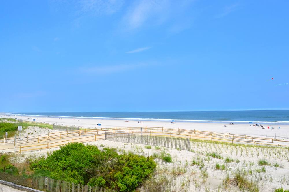 Photo of Others in Townsend's Inlet